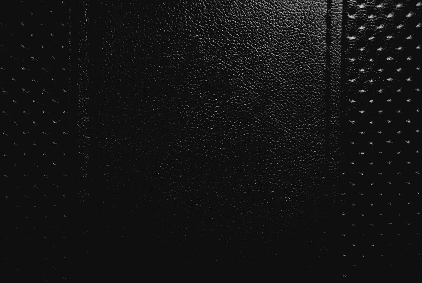 Luxury Leather Texture